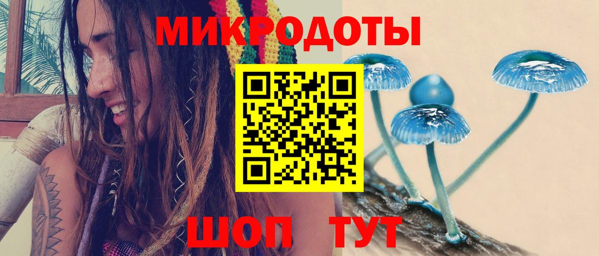 Галлюциногенные грибы Psilocybine cubensis  Псилоцибиновые грибы Magic Shrooms  Вход с VPN  Королёв 